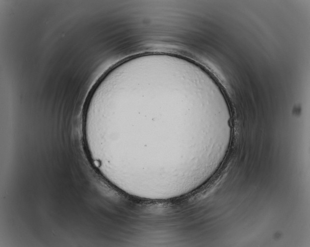 X0000101690891200808071131