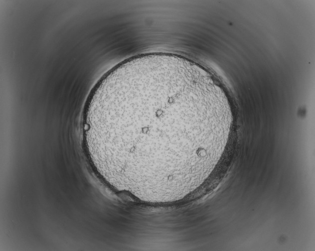 X0000101690892200808071131