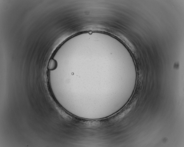 X0000101690893200808071131