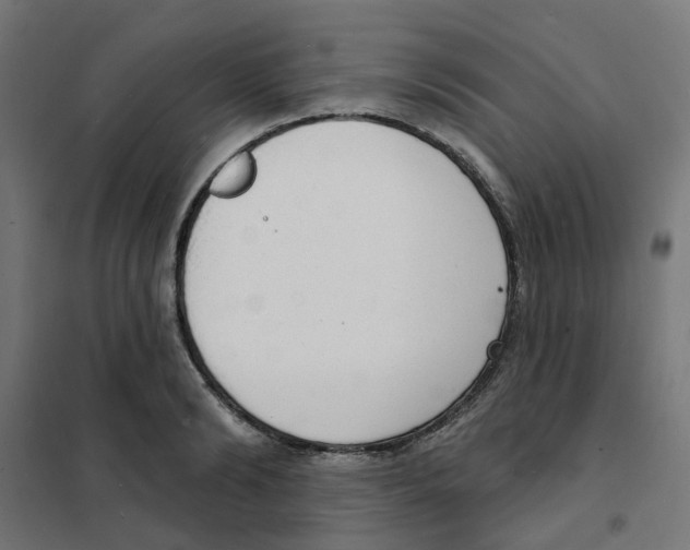 X0000101690894200808071131