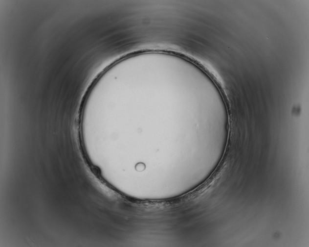 X0000101690895200808071131