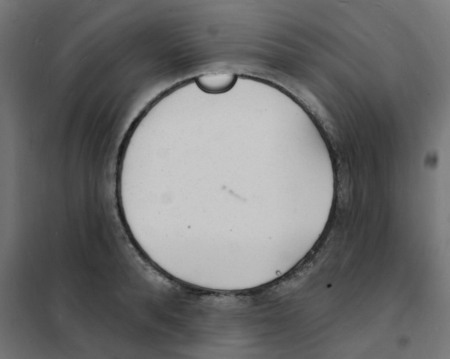 X0000101690896200808071131