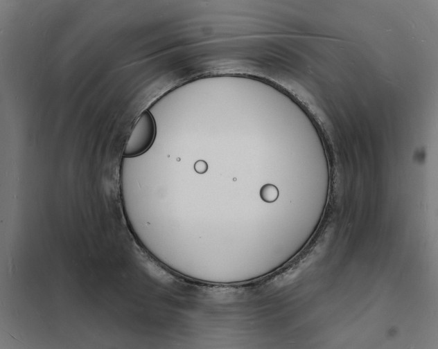 X0000101690897200808071131