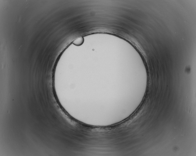 X0000101690898200808071131