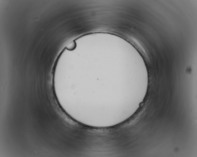 X0000101690900200808071131