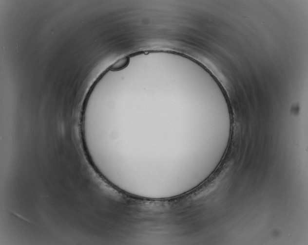 X0000101690901200808071131