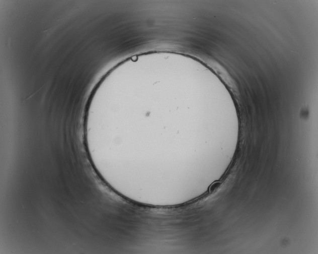 X0000101690904200808071131