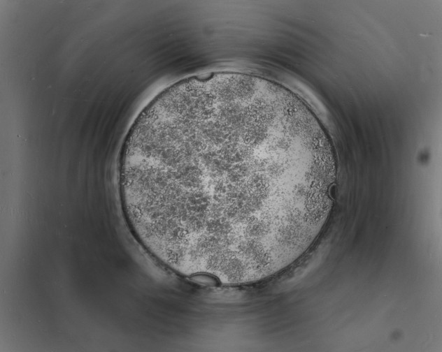 X0000101690907200808071131