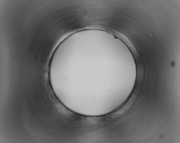 X0000101690908200808071131