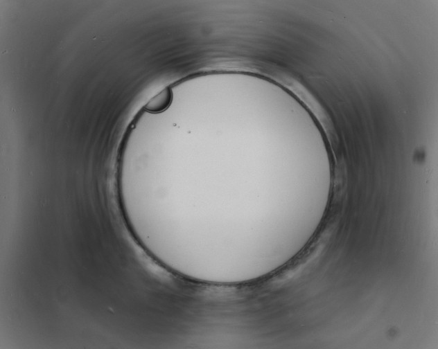 X0000101690909200808071131