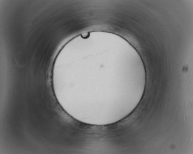 X0000101690912200808071131