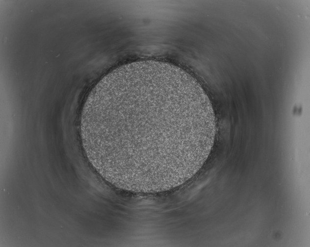 X0000101690913200808071130