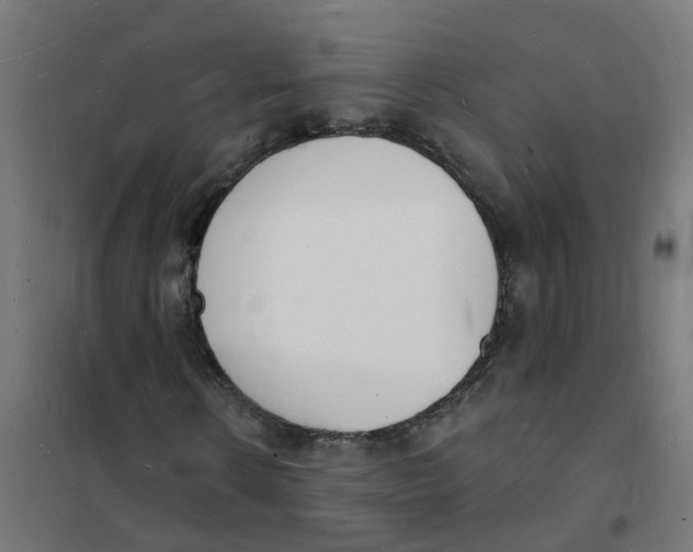 X0000101690914200808071130