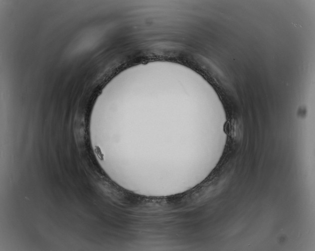 X0000101690915200808071130