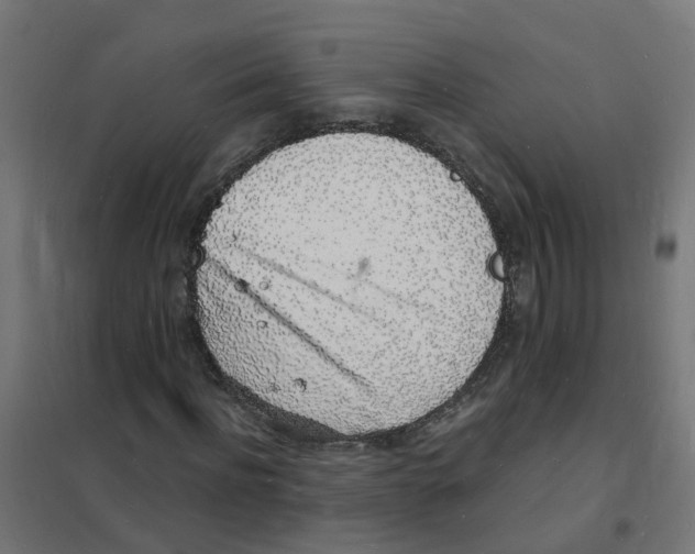 X0000101690916200808071130