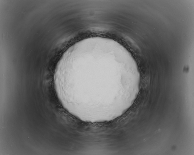 X0000101690917200808071130