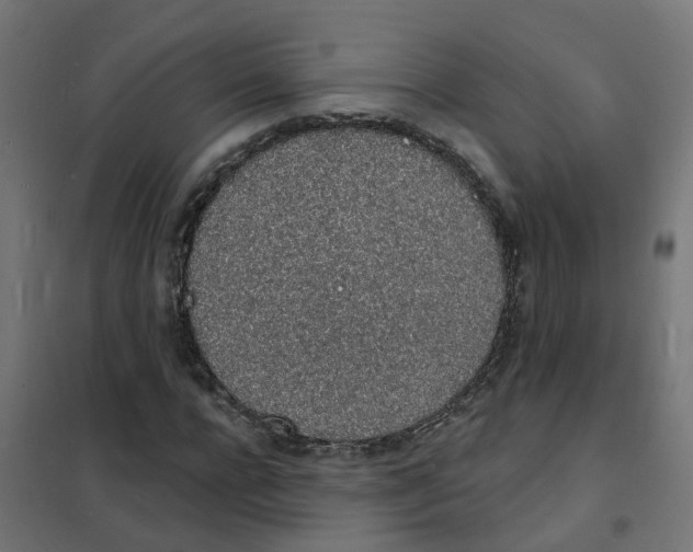 X0000101690920200808071130