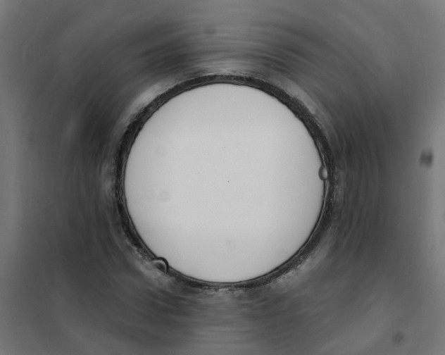 X0000101690922200808071130