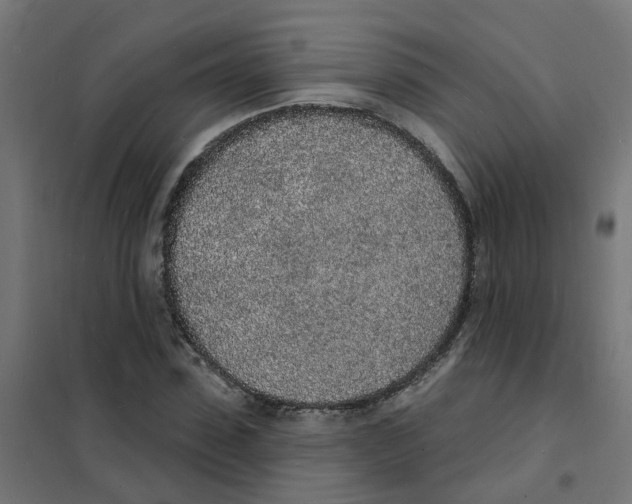 X0000101690923200808071130