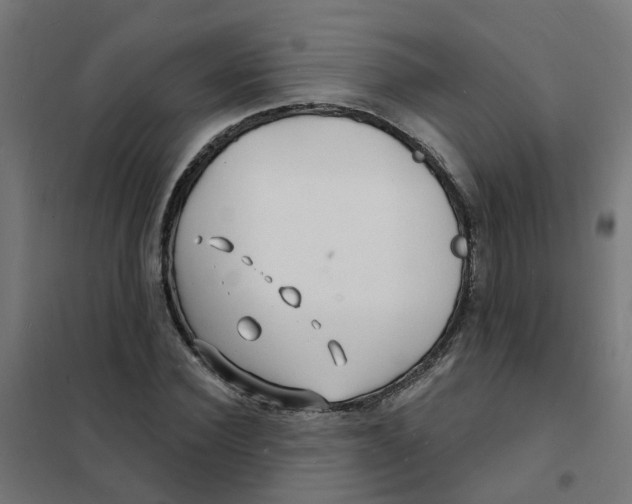 X0000101690924200808071130