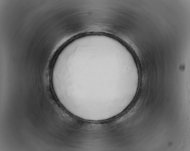 X0000101690925200808071130