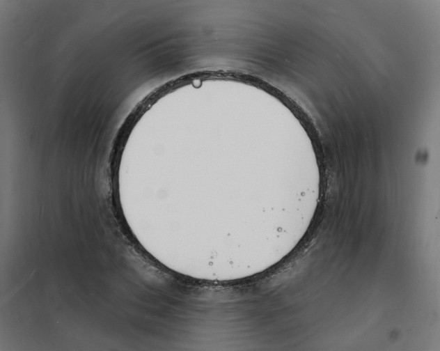 X0000101690927200808071130