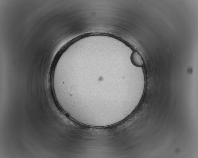 X0000101690928200808071130