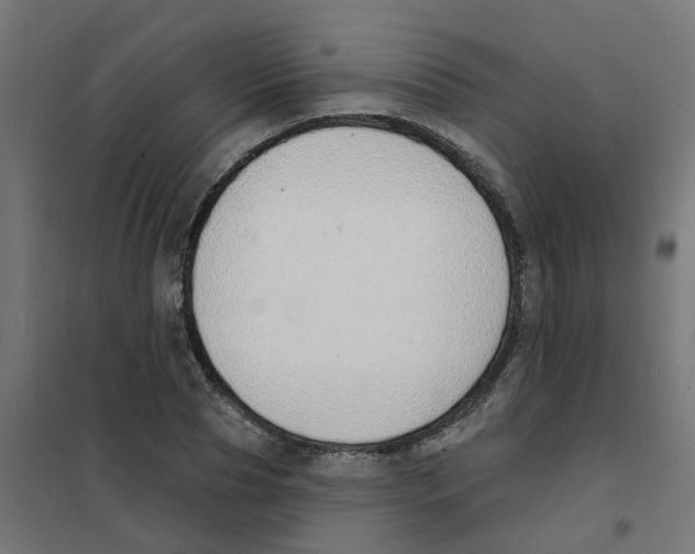 X0000101690929200808071130