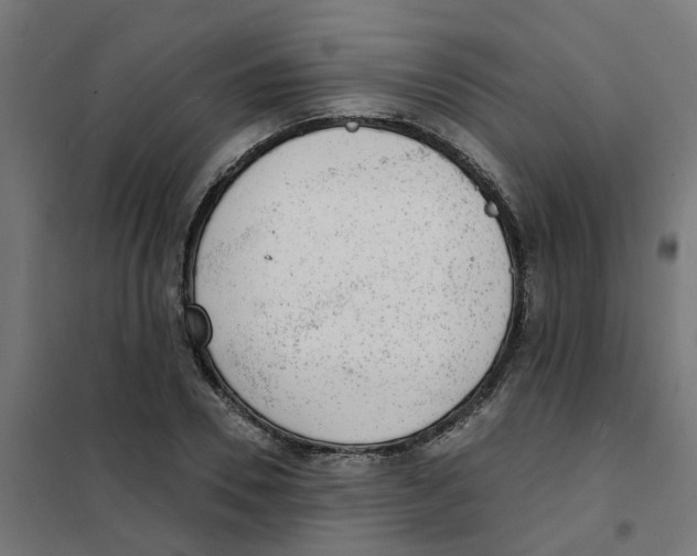 X0000101690930200808071130