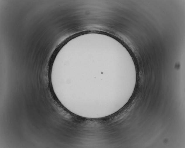 X0000101690931200808071130