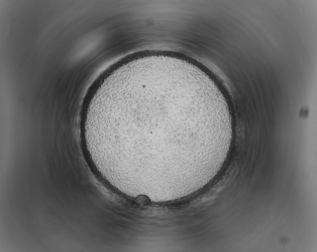 X0000101690935200808071130