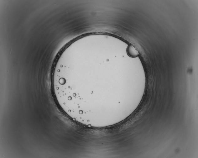 X0000101690936200808071130