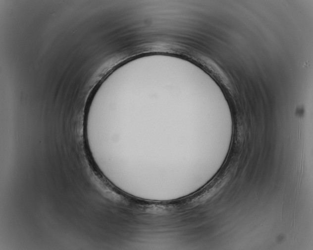 X0000101690938200808071130