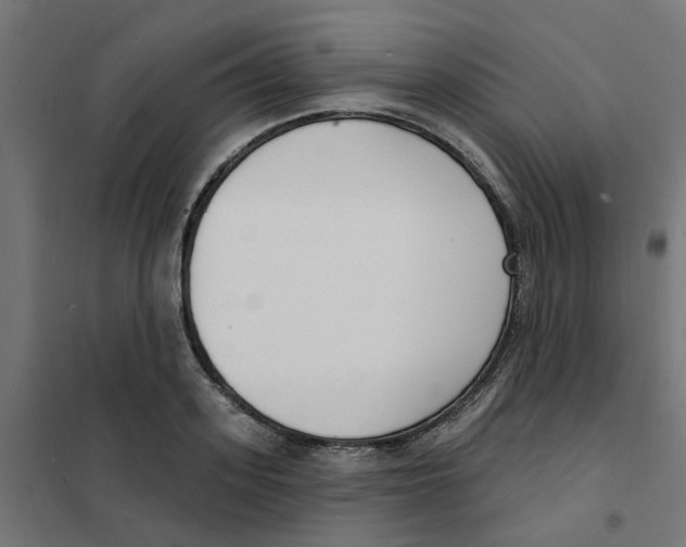 X0000101690939200808071130