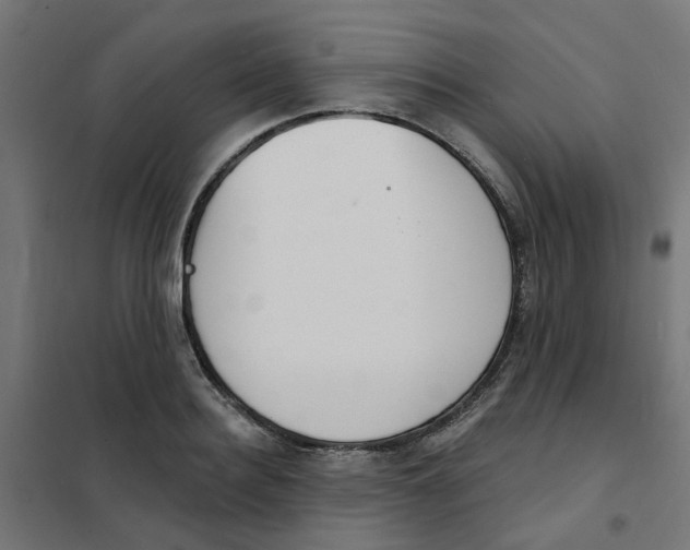 X0000101690940200808071130