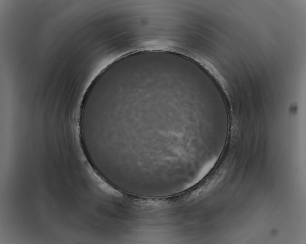 X0000101690941200808071130