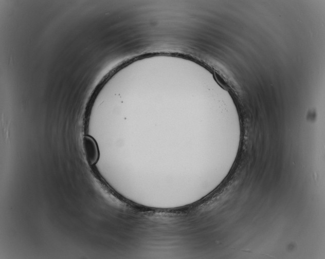 X0000101690942200808071130