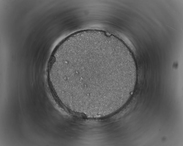 X0000101690944200808071130