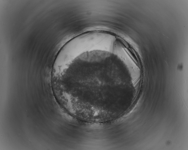 X0000101690945200808071130