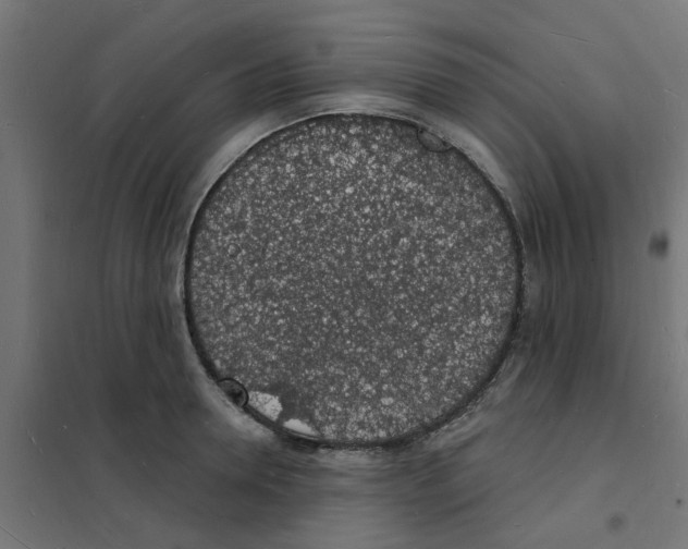 X0000101690946200808071130