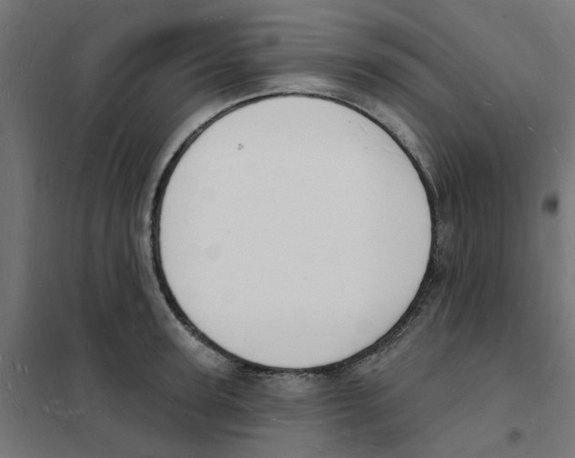 X0000101690947200808071130