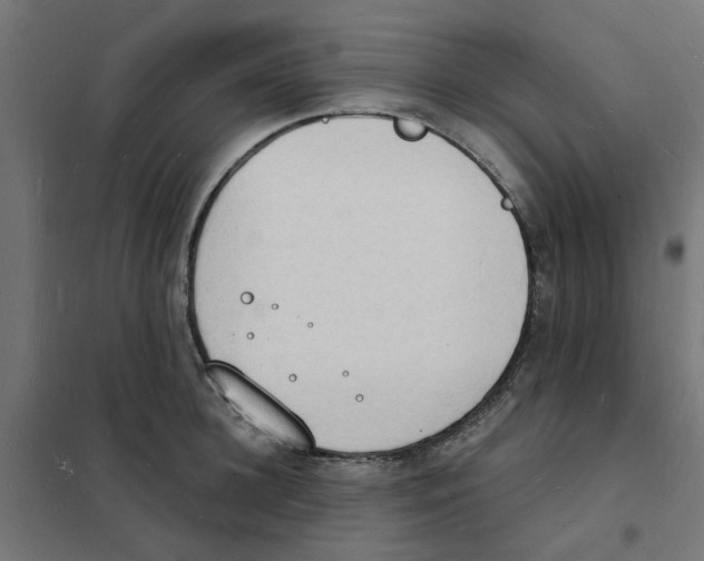 X0000101690948200808071130