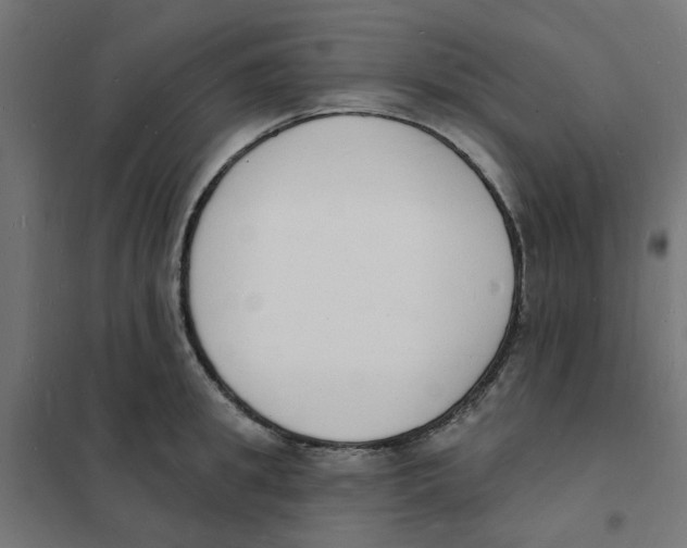 X0000101690949200808071130