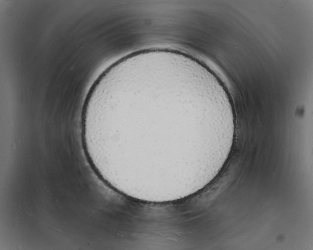 X0000101690951200808071130