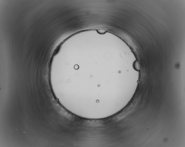 X0000101690952200808071130