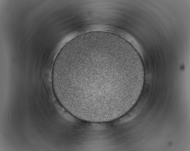 X0000101690954200808071131