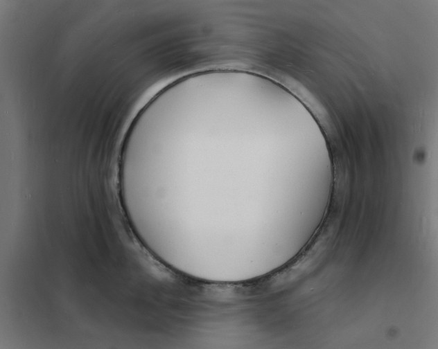 X0000101690956200808071131