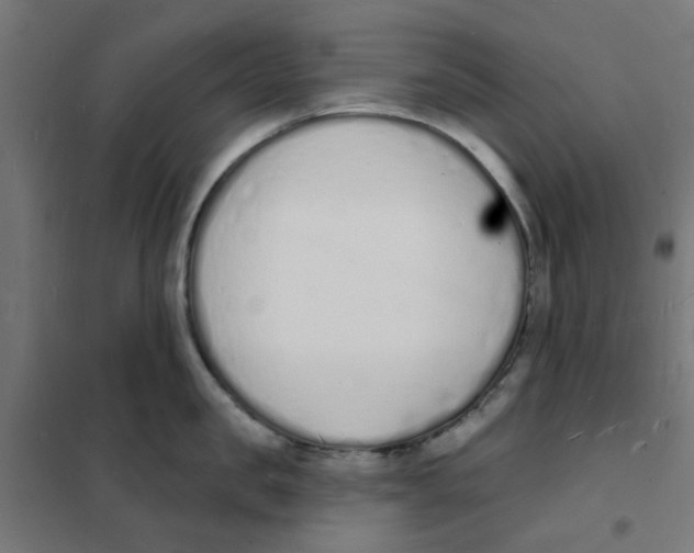 X0000101690957200808071131