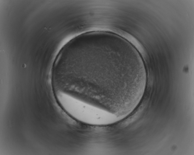 X0000101690958200808071131