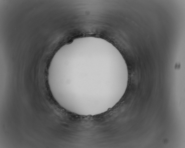 X0000101690961200808071130